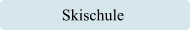 Skischule