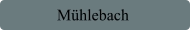 Mühlebach
