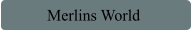 Merlins World