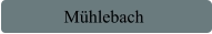 Mühlebach