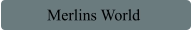Merlins World