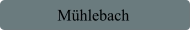 Mühlebach