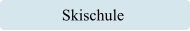 Skischule