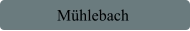 Mühlebach