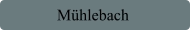 Mühlebach