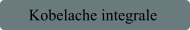 Kobelache integrale
